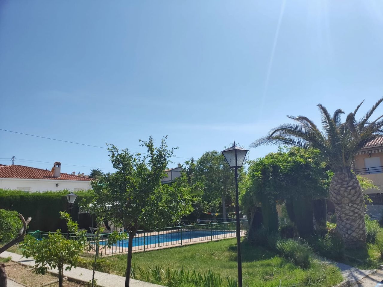 Lola Peña Martos-11