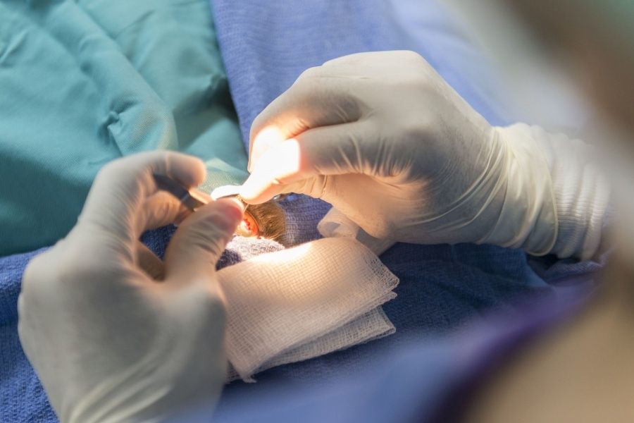 Mvdr. Marek Benetka-5