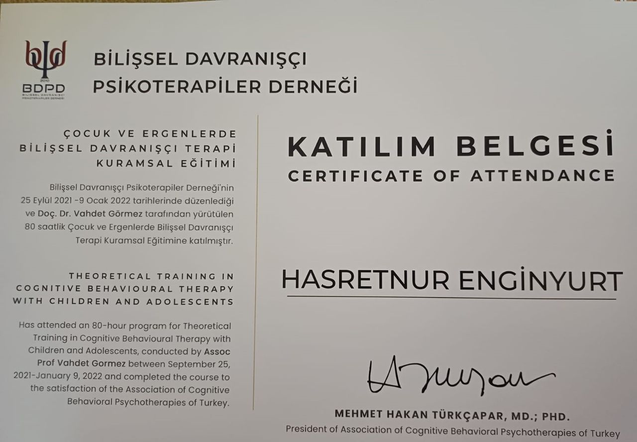 Hasretnur Enginyurt-8