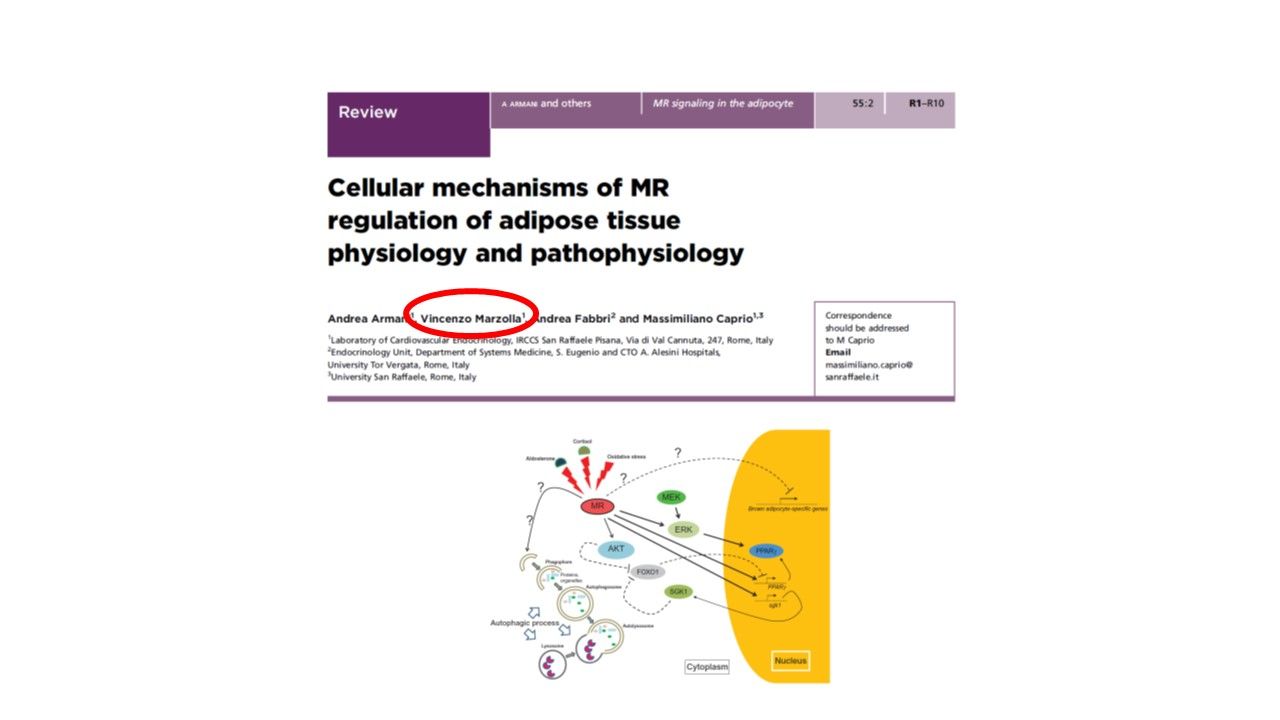 Vincenzo Marzolla-32