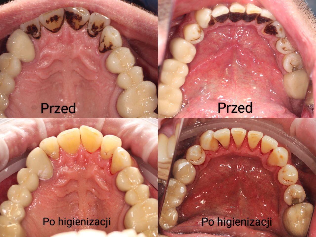 Aleksandra Bobrovskaya-14