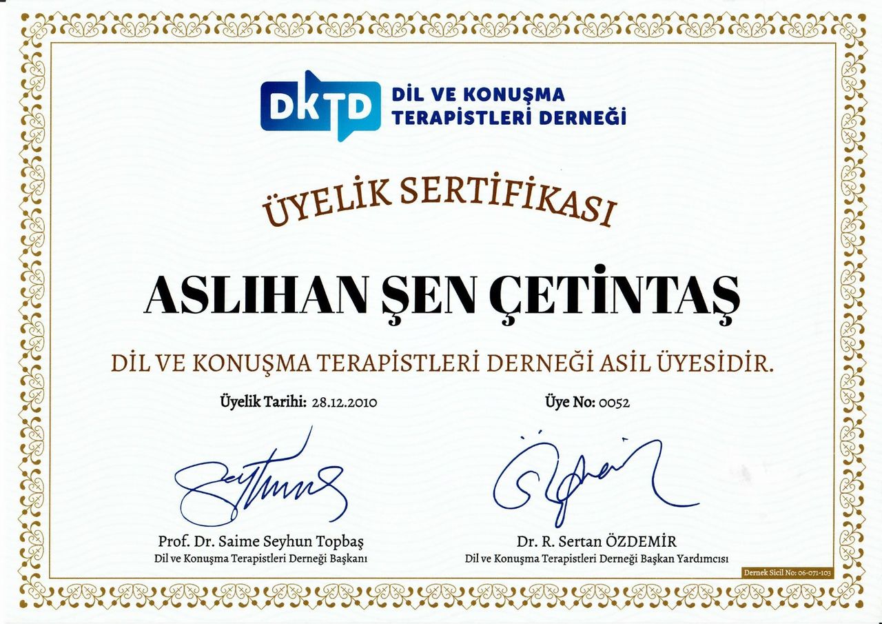 Aslıhan Şen Çetintaş-1