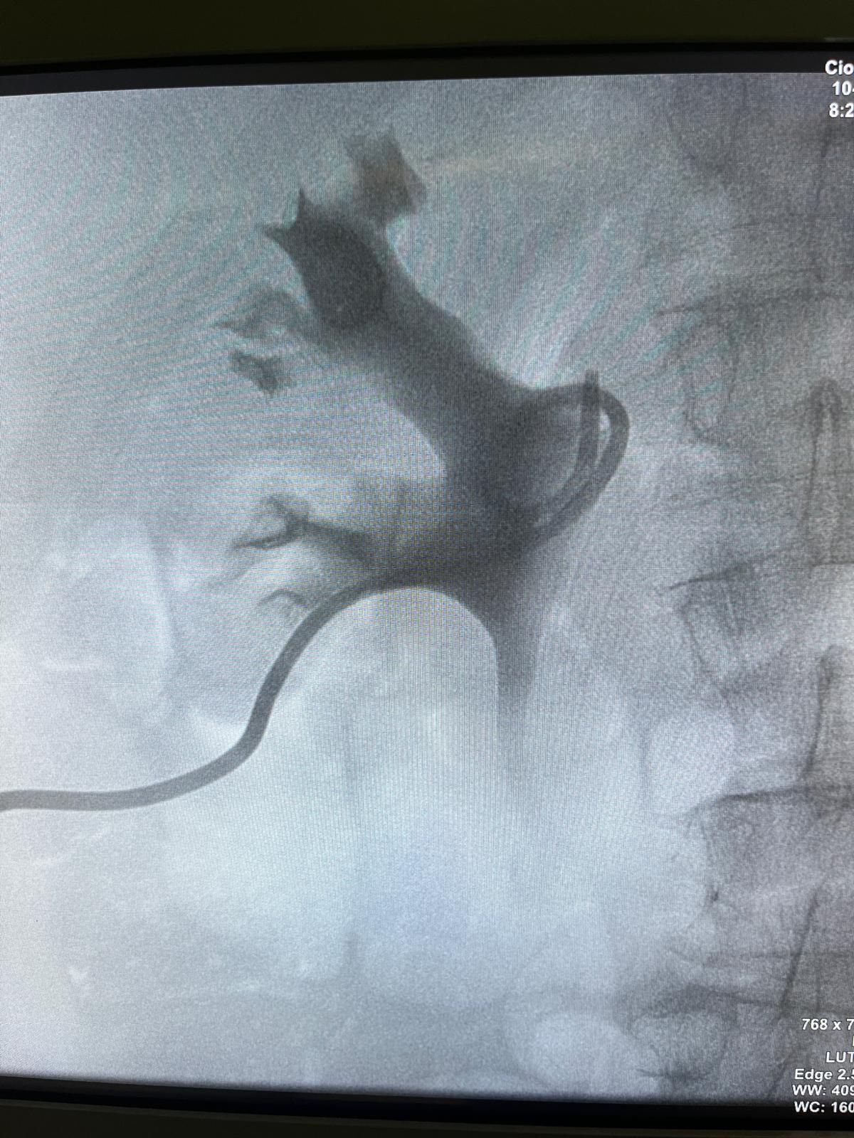 Salvatore Dioguardi-3