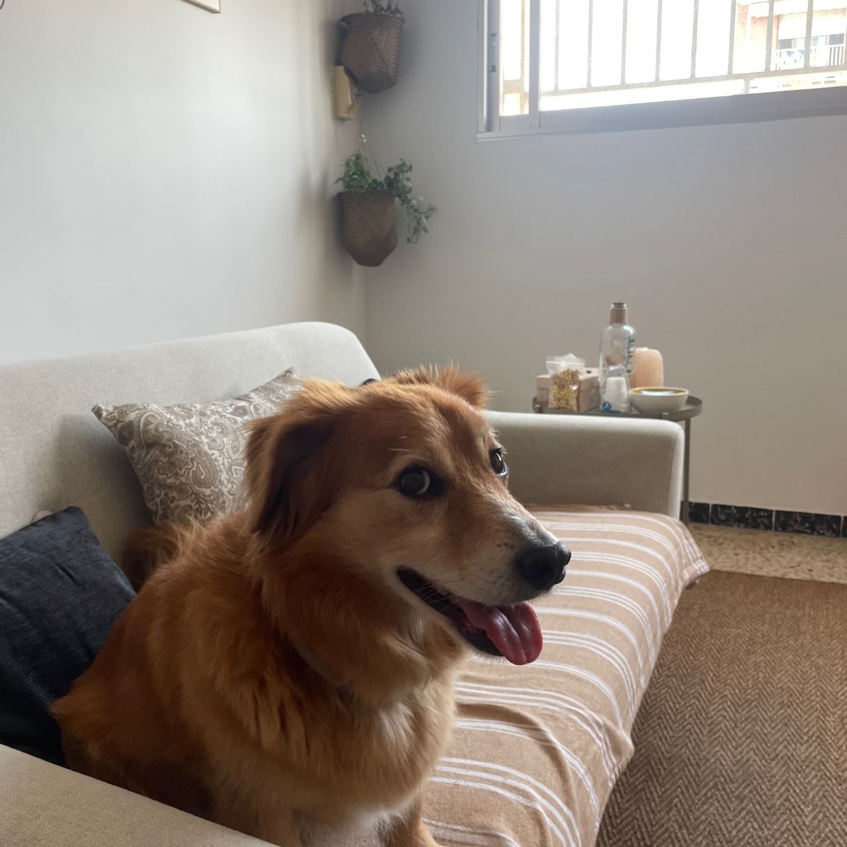 Patricia Gutiérrez Isla-9