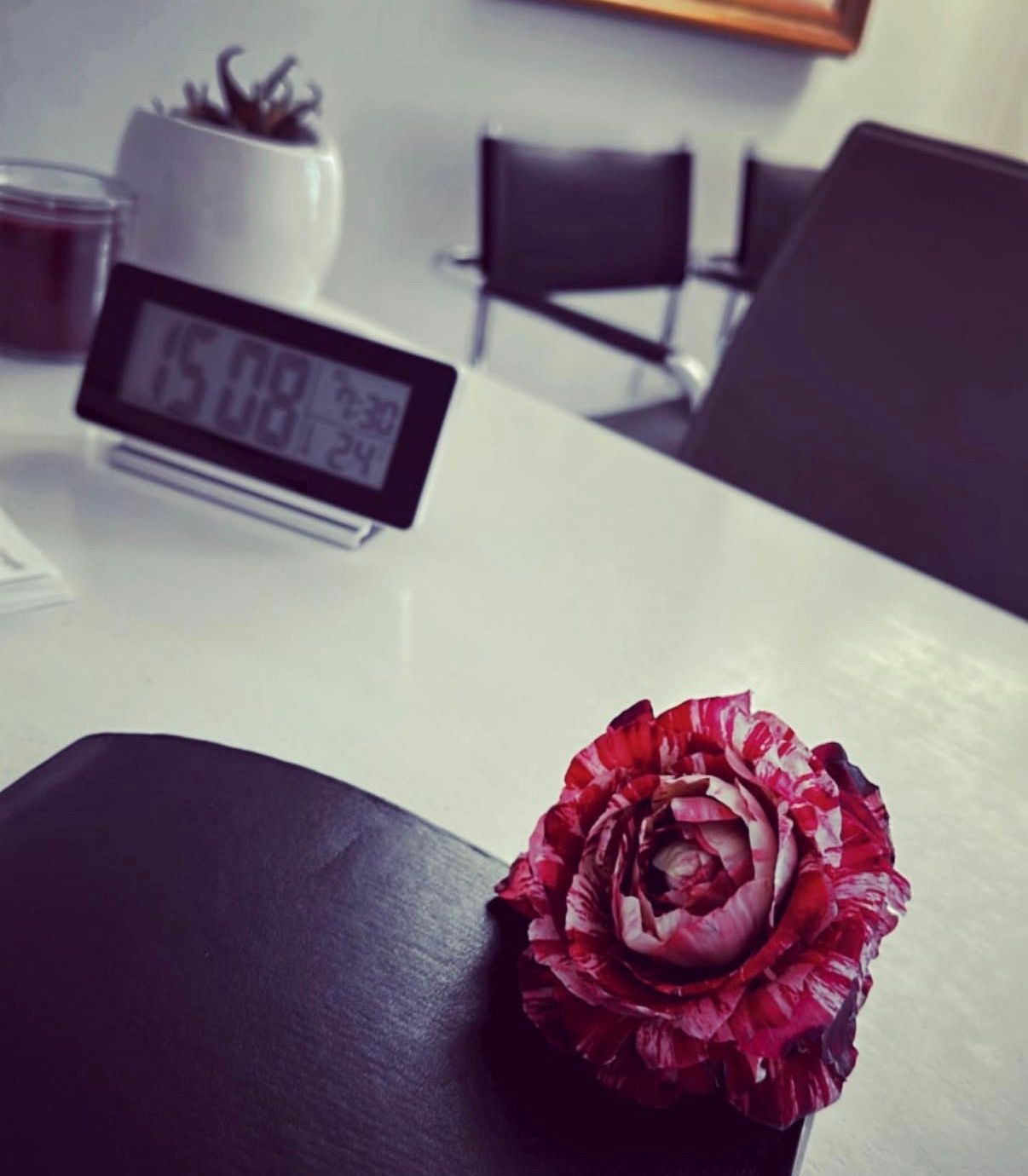 Maria Laura Leveghi-4