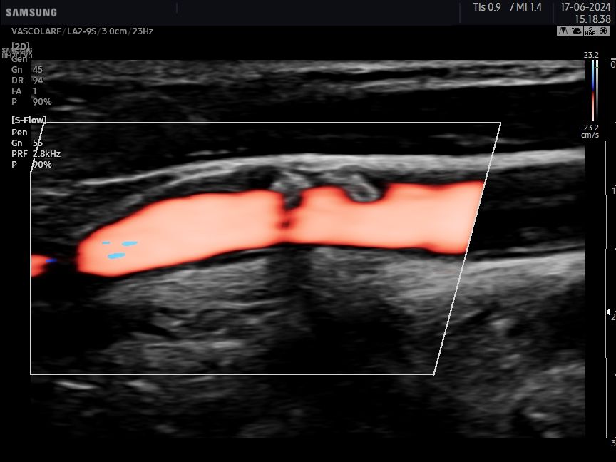 Gianluca Cisternino-1