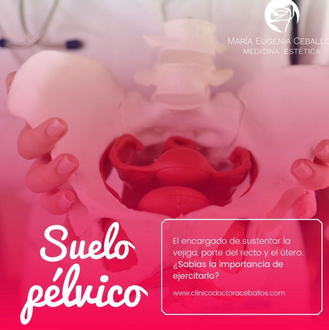 Maria Eugenia Ceballos Aranguez-6