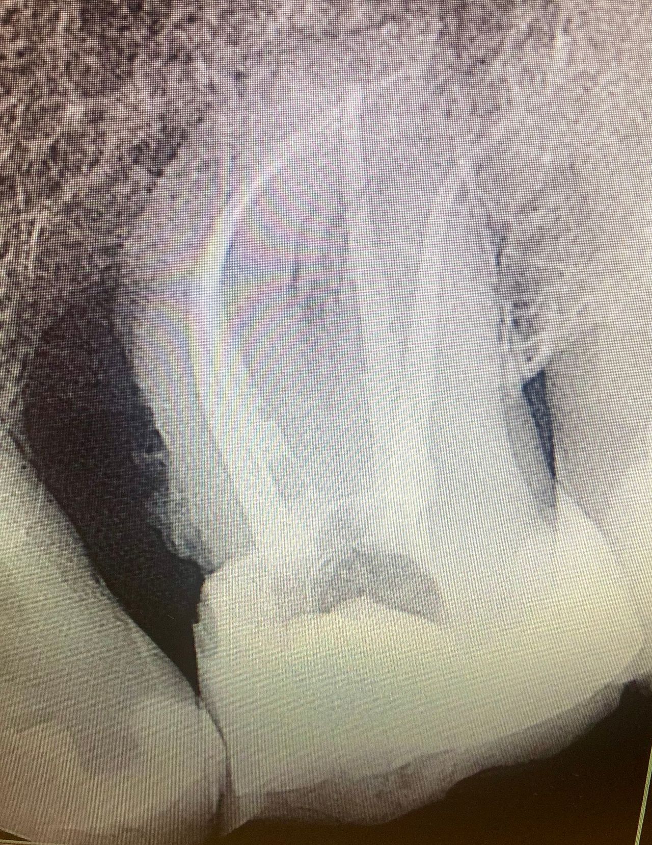 Dominika Witkowska-Pszczoła-10