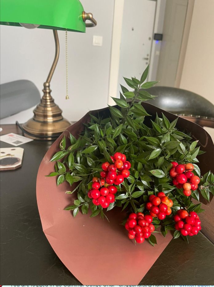 Gülnihal Gökçe Ünal-1