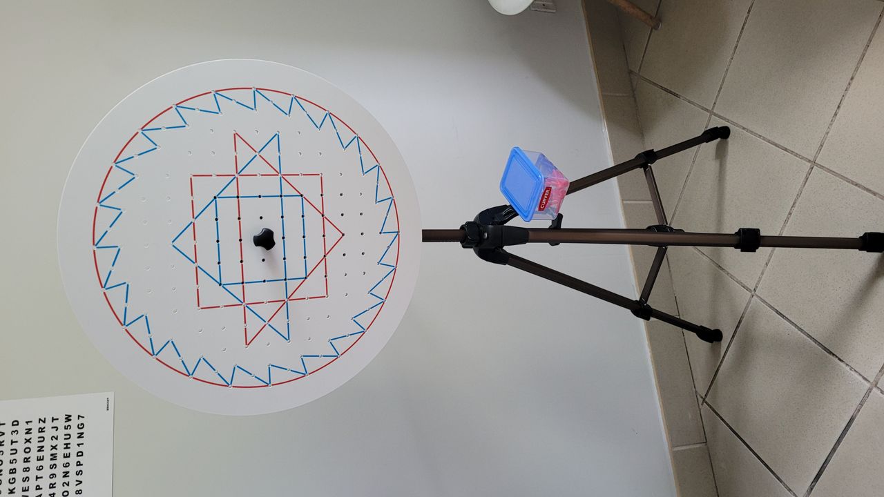 Dominika Juncewska-5