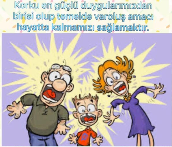 Günseli Yavaş Alpay-4