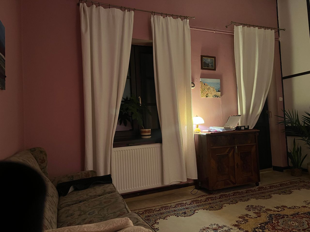 Agnieszka Szewczyk Alksnin-1