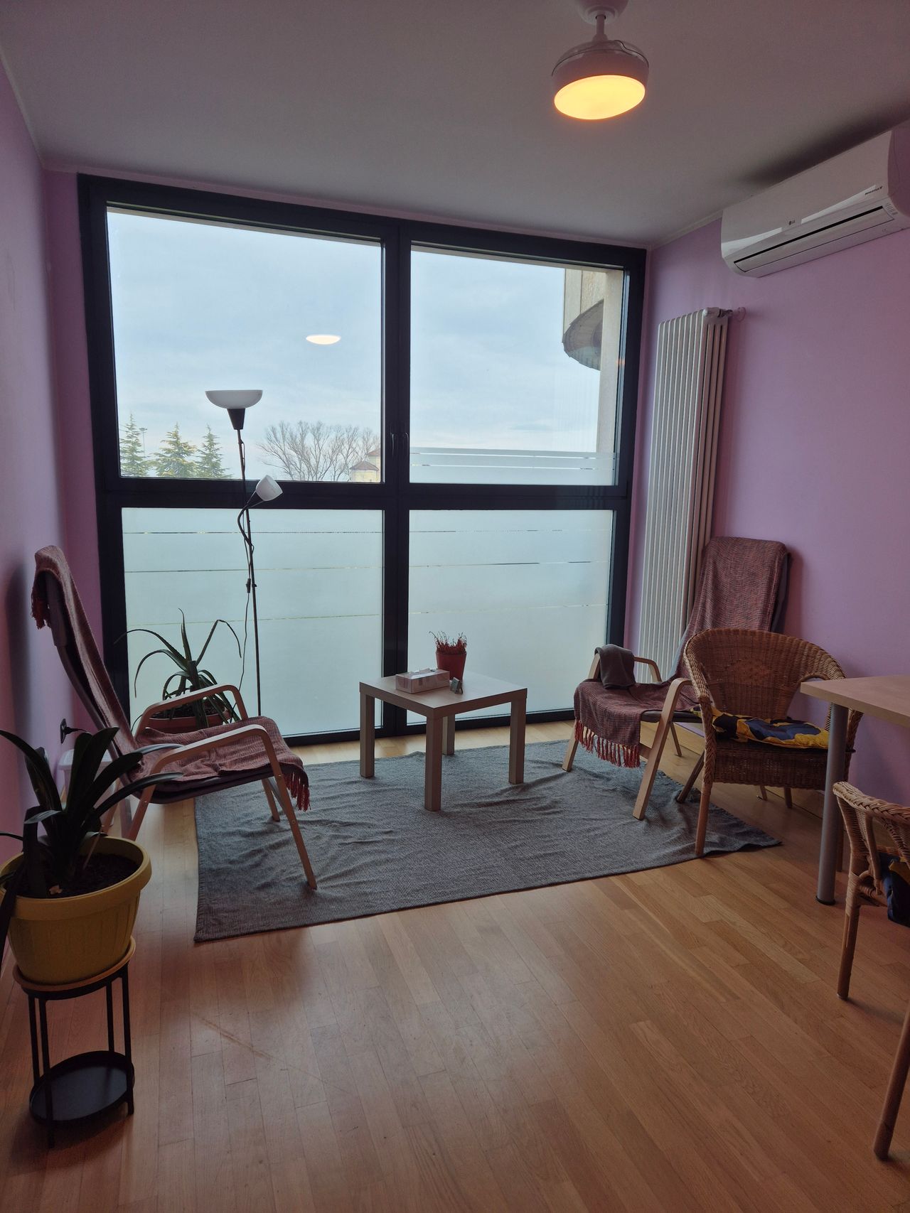 Mariana Vilma Colman-0