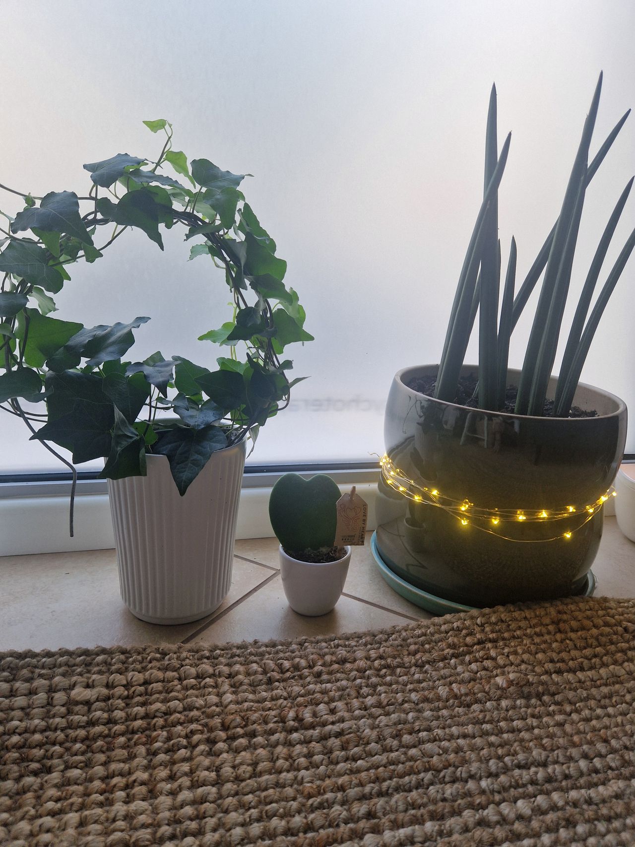 Agnieszka Pocheć-Kołkiewicz-2