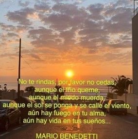 Isabel García Ortuño-0