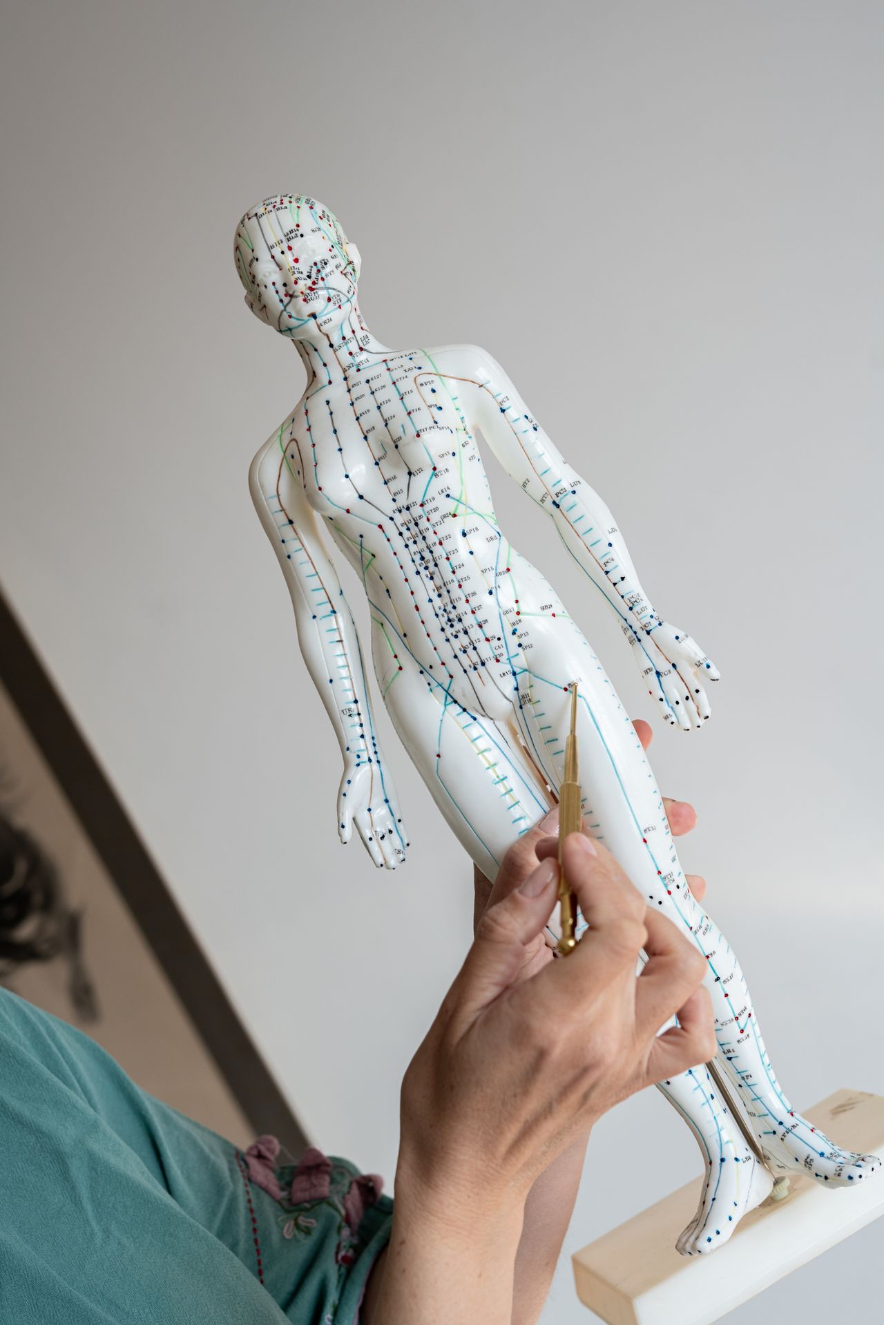 Inmaculada Valle Furio-4