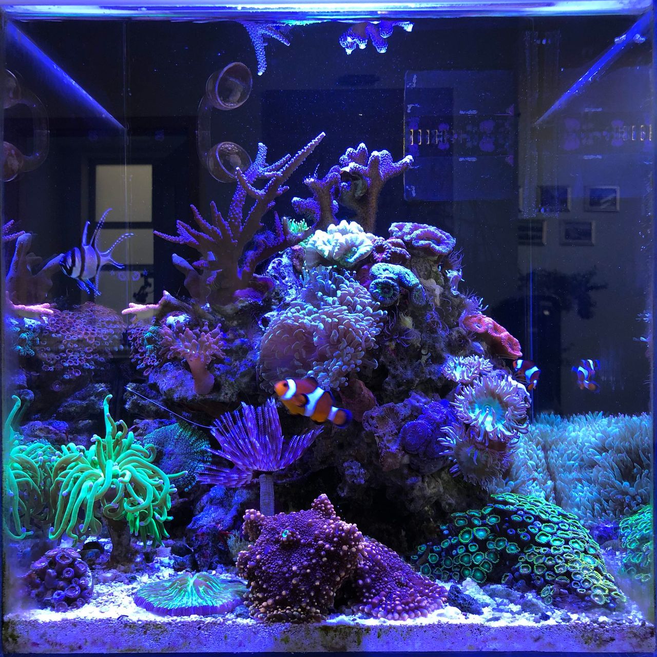 Łukasz J. Bartkowiak-8