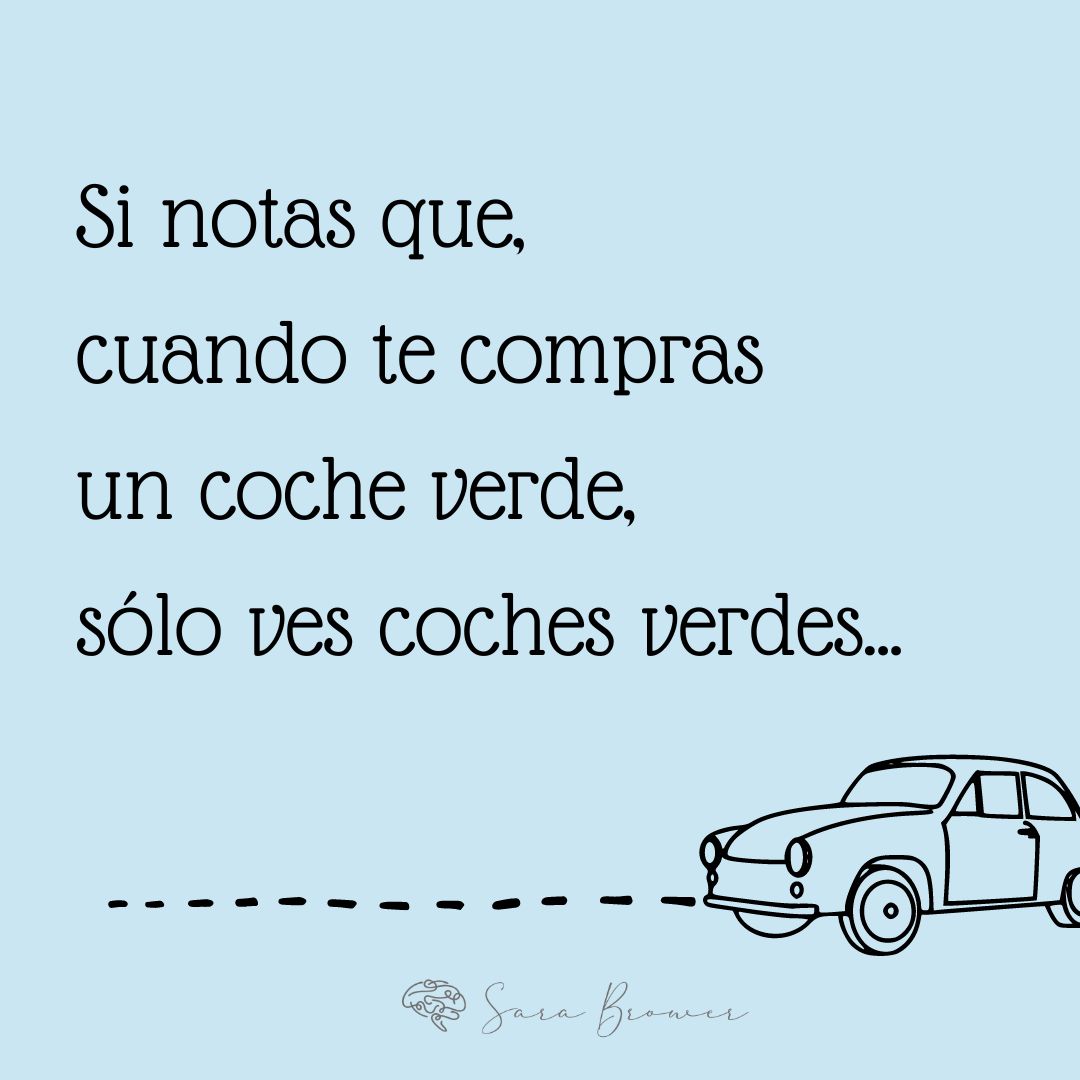 Sara Brower Tecglen-8