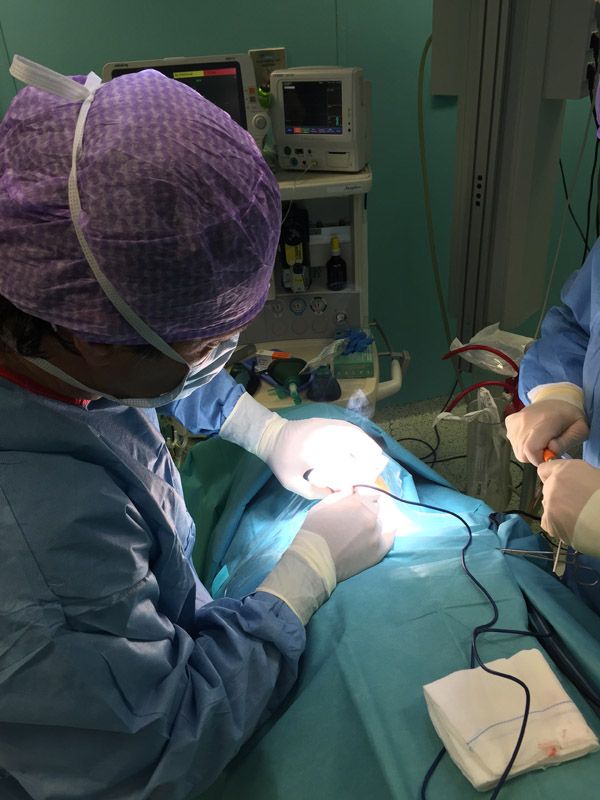 Massimiliano Neroni-0