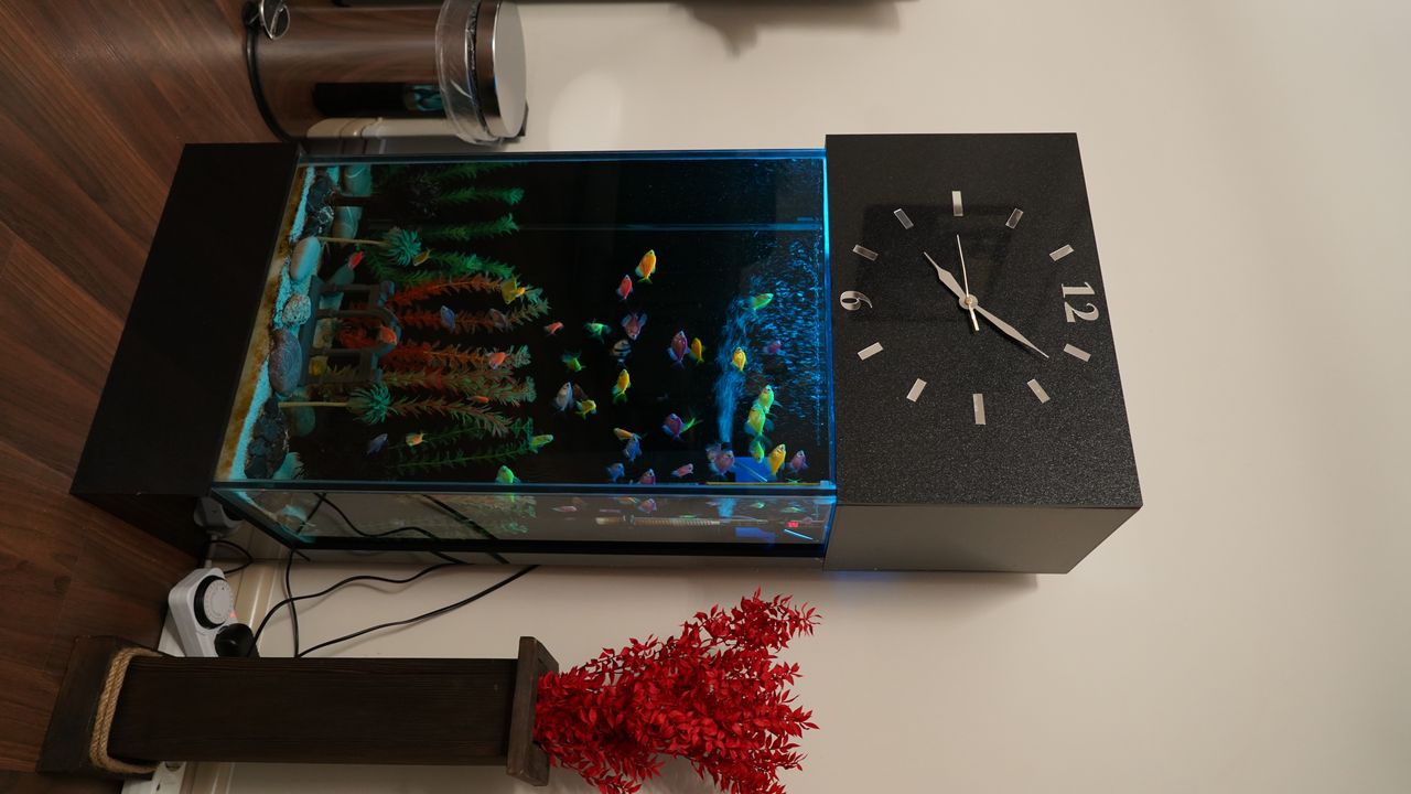 Muhammed Yalçın-31