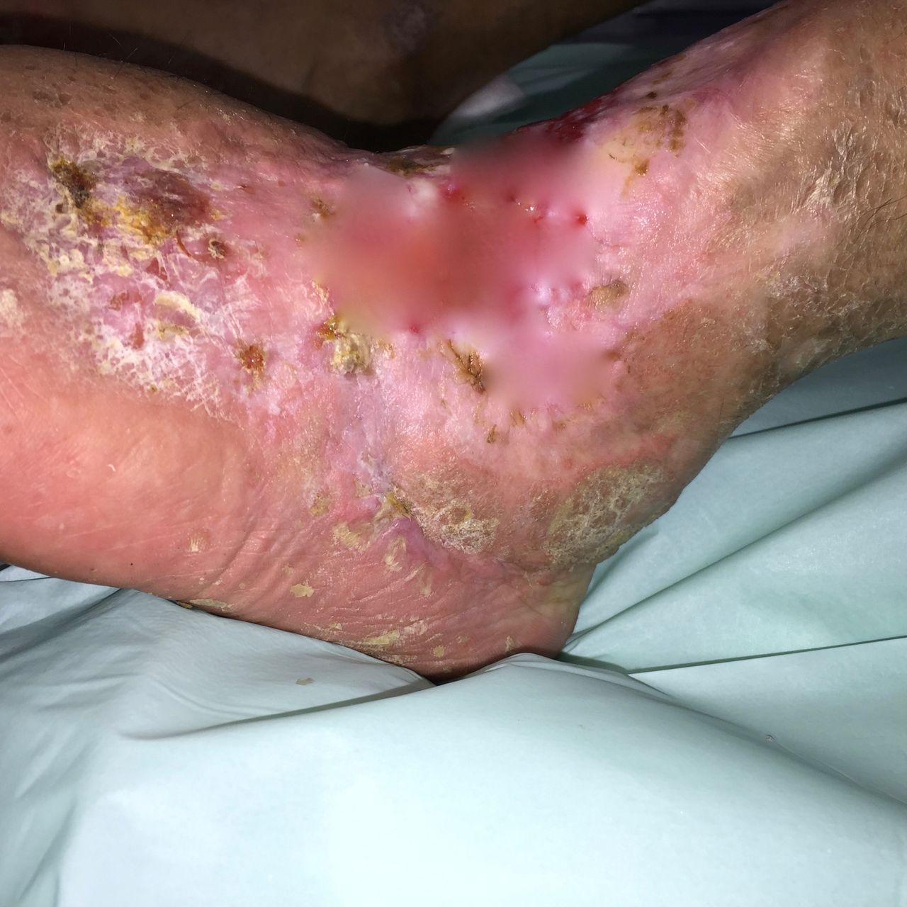 Radosław Świętochowski-9