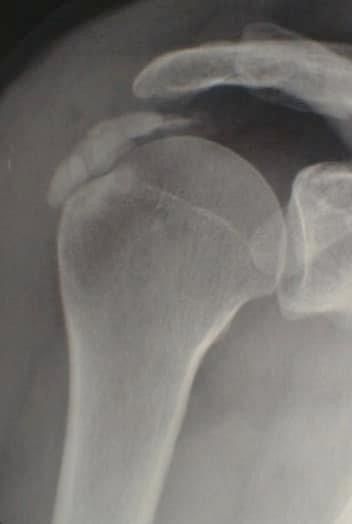 Maria Chiara Morgano-2