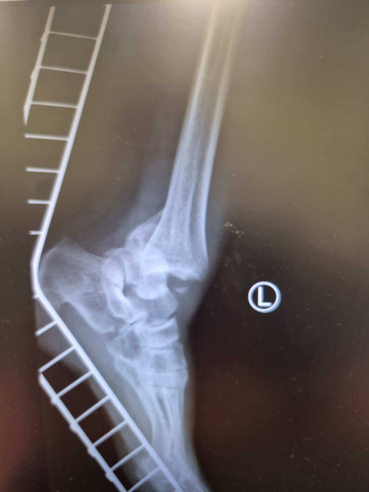 Jarosław Pilarek-10