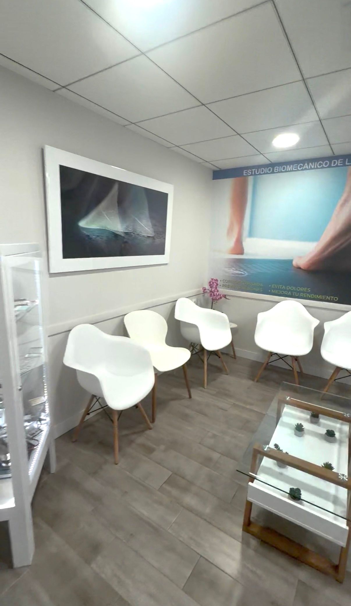 Alina Zurita Estarrona-1