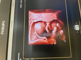 Domenico D'assisi-24