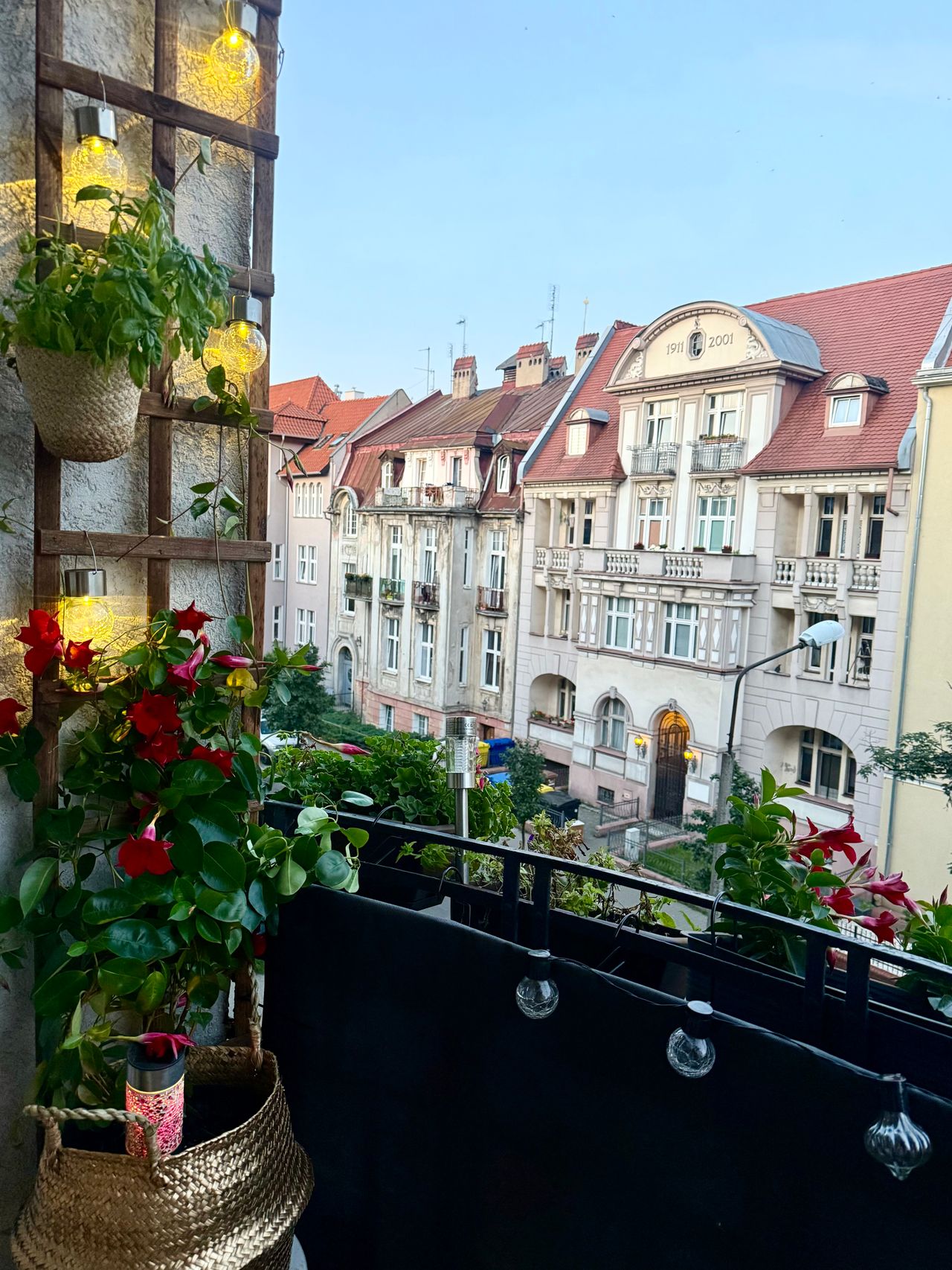 Joanna Starostecka-3