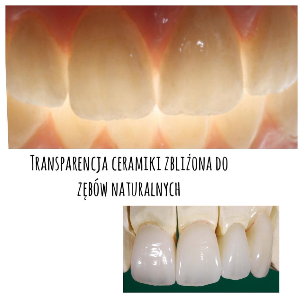 Karolina Anna Kownacka-16