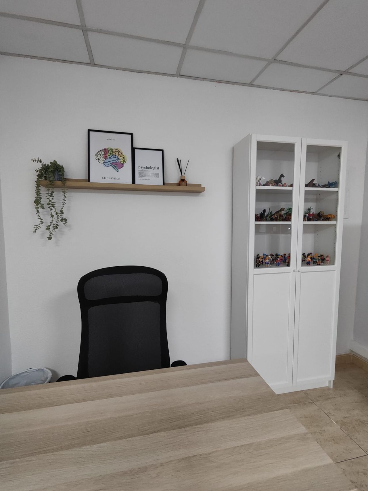 Eva Barjola Bizarro-6