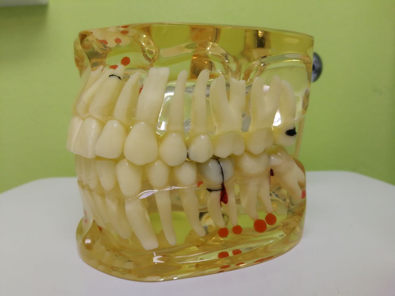 Claudia Patricia Romo Blanco-6