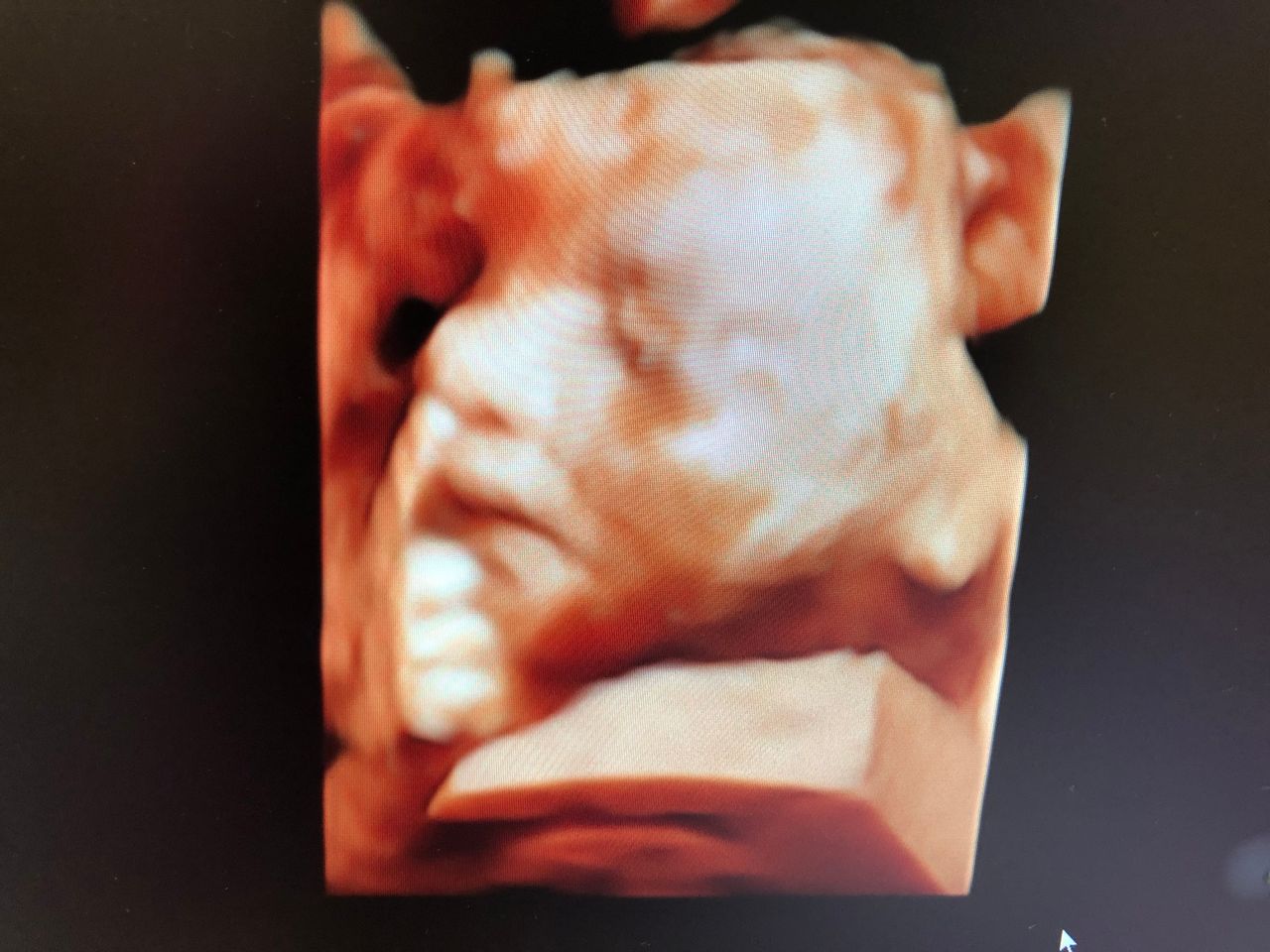 Katarzyna Leszczyńska-12