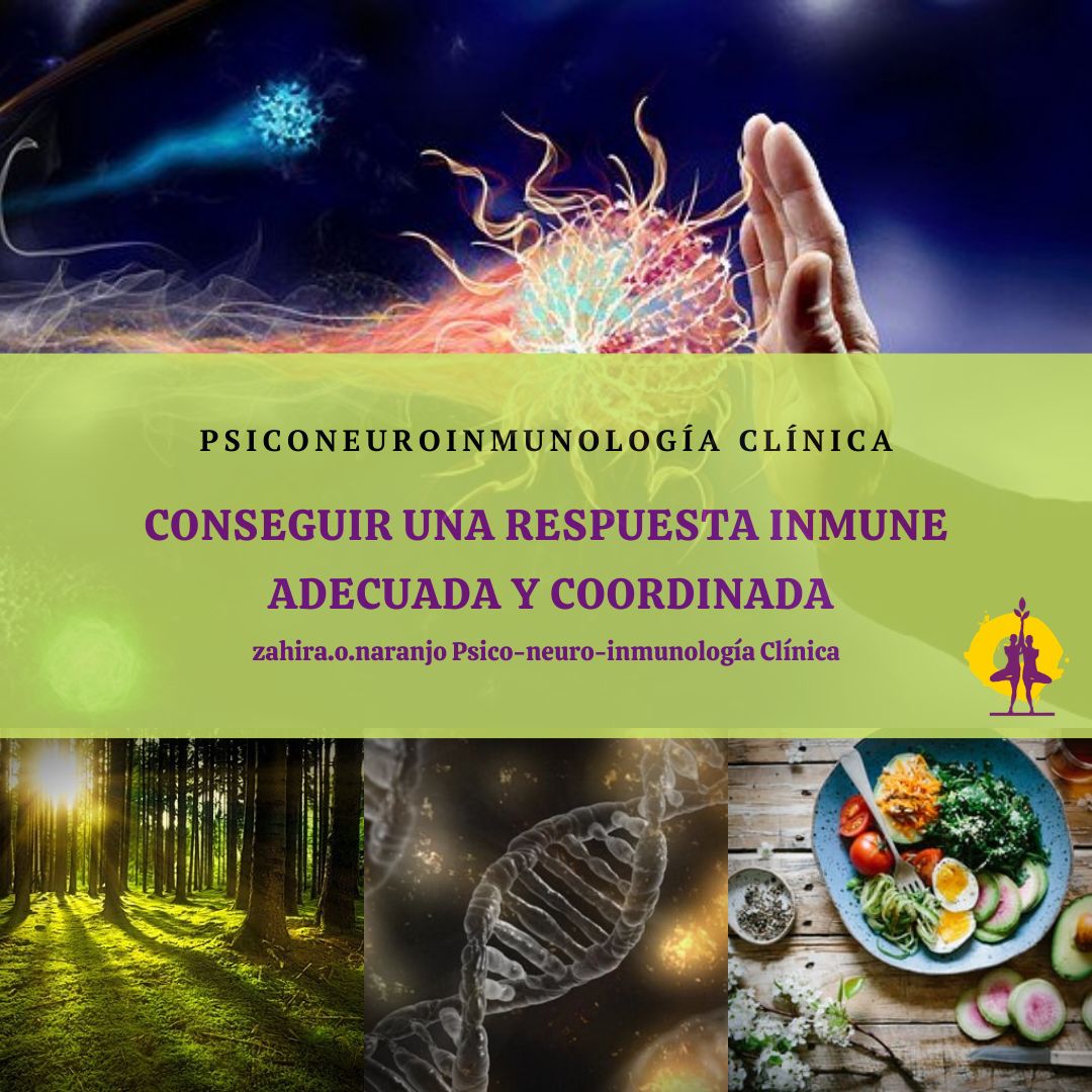 Zahira O. Naranjo-18