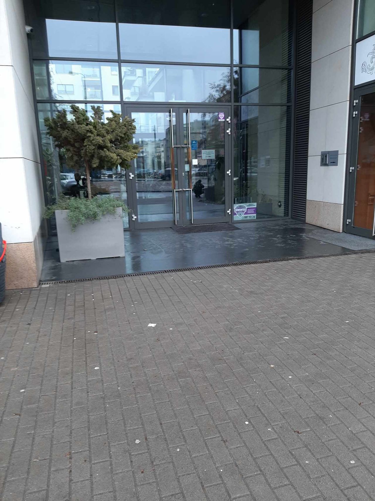 Katarzyna Poniewska-6