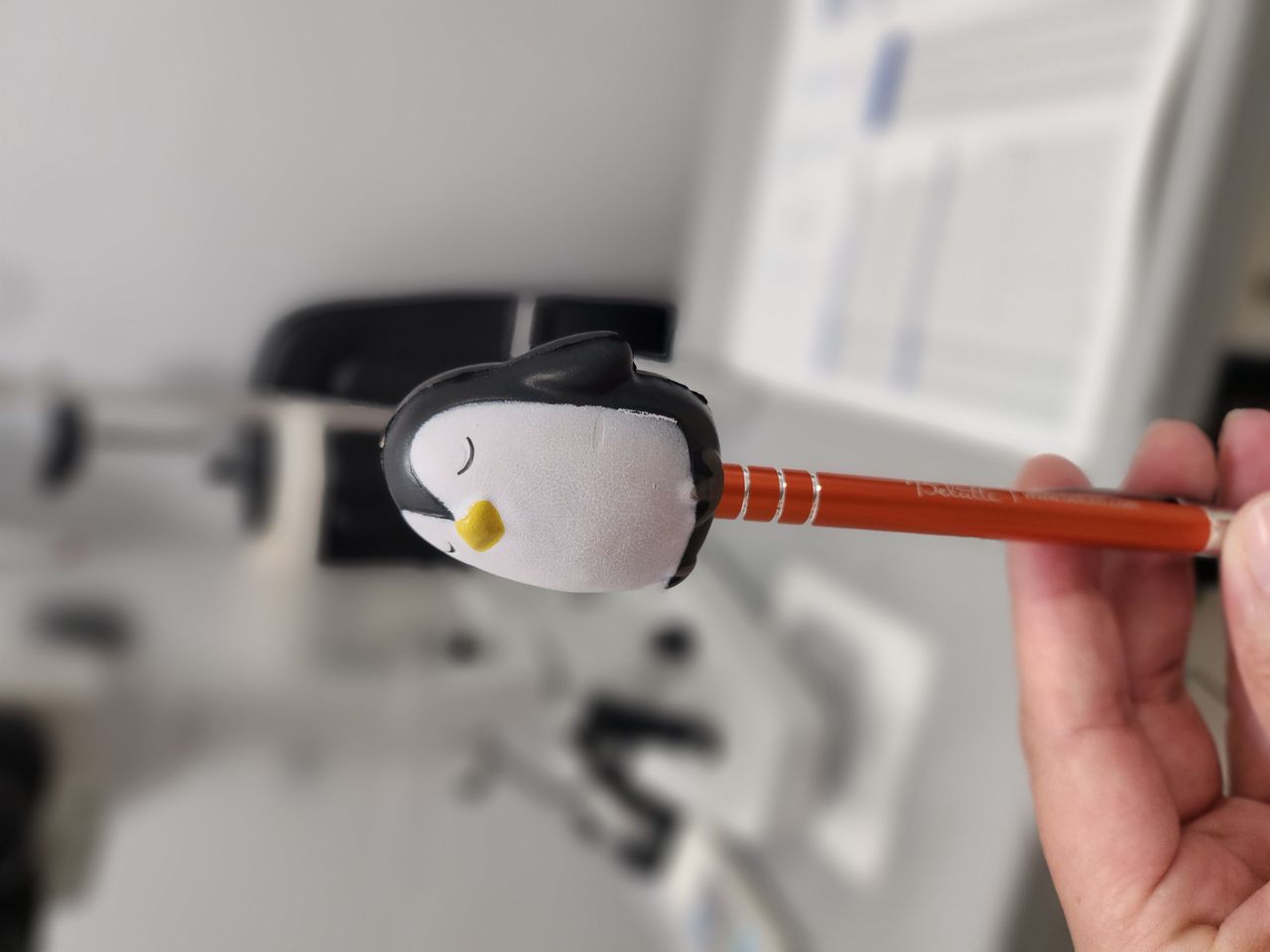 Magdalena Zielińska-1