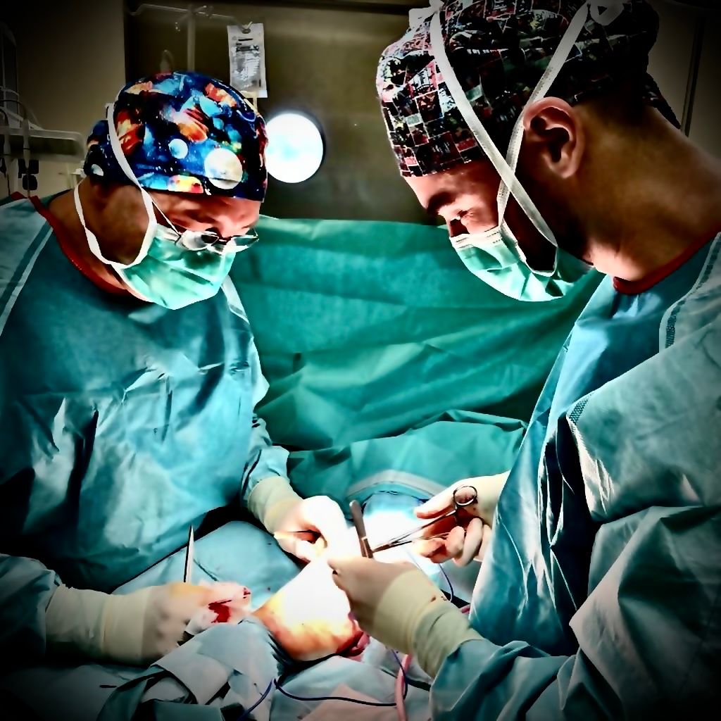 Jaume Elias Mingot-11