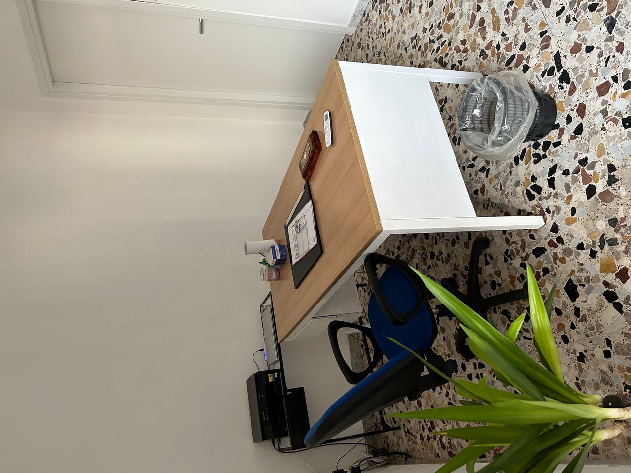 Raffaela Carotenuto-6