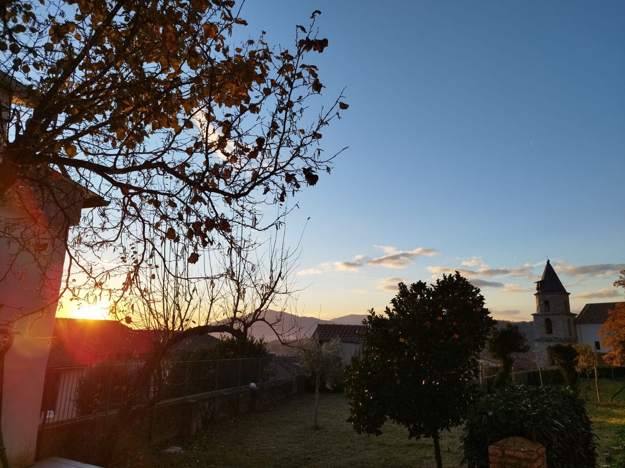 Mariagiulia Sacco-10