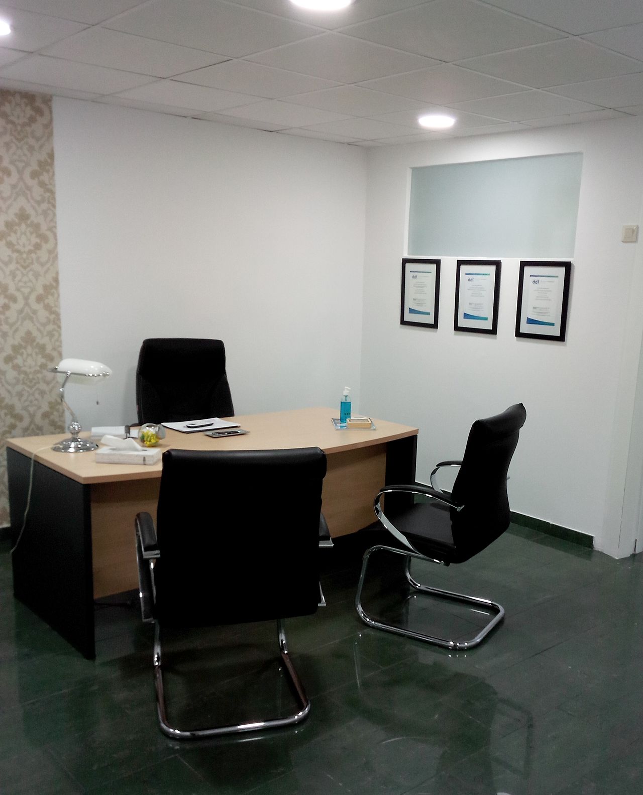 Paloma Herrera Bolo-0