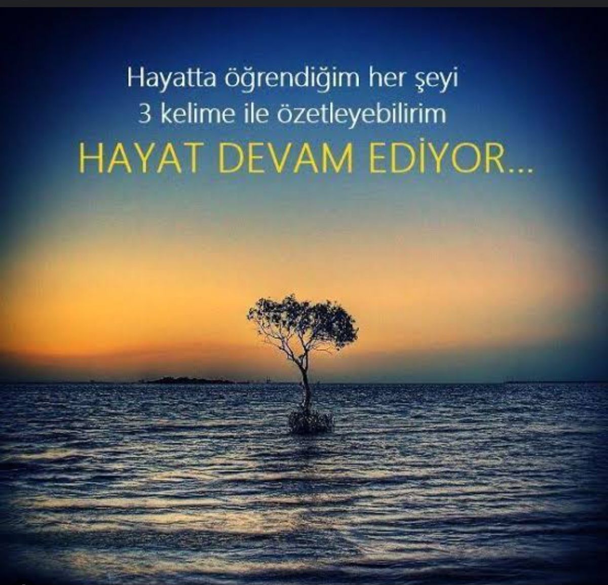 Ayşen Betül Okat-30