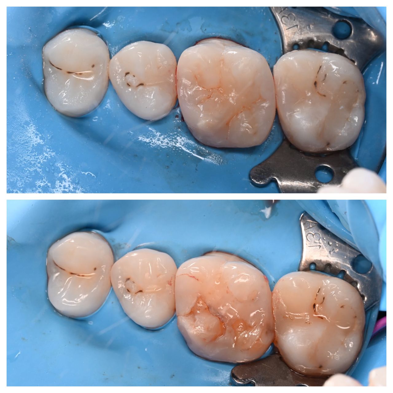 Agnieszka Ciesielska-3