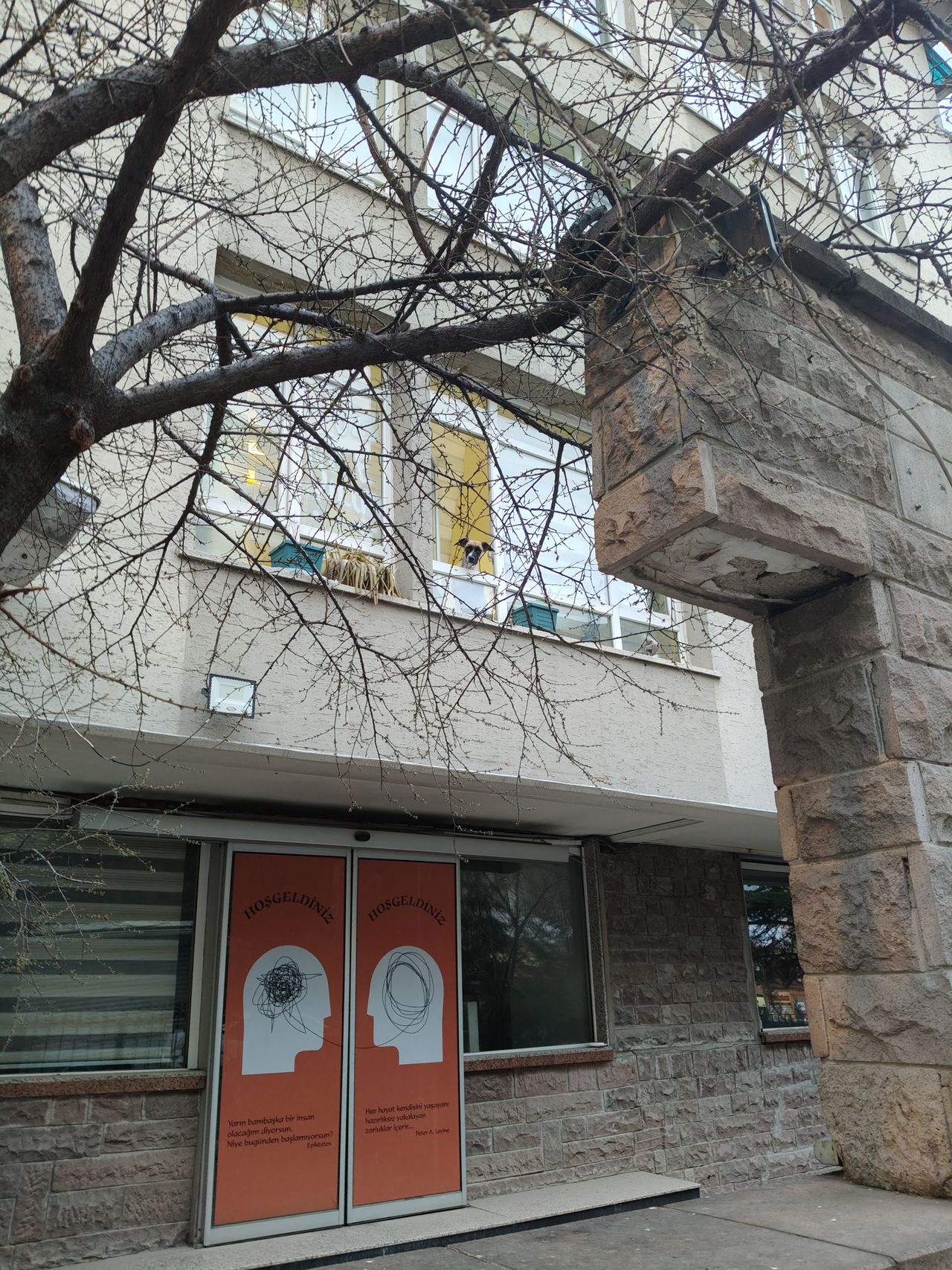 Oğuzhan Ustaoğlu-1