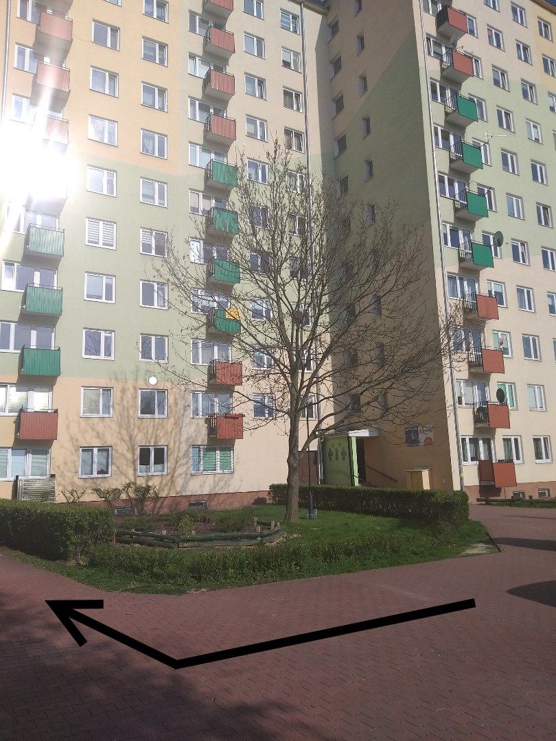 Agnieszka Rojowska-2