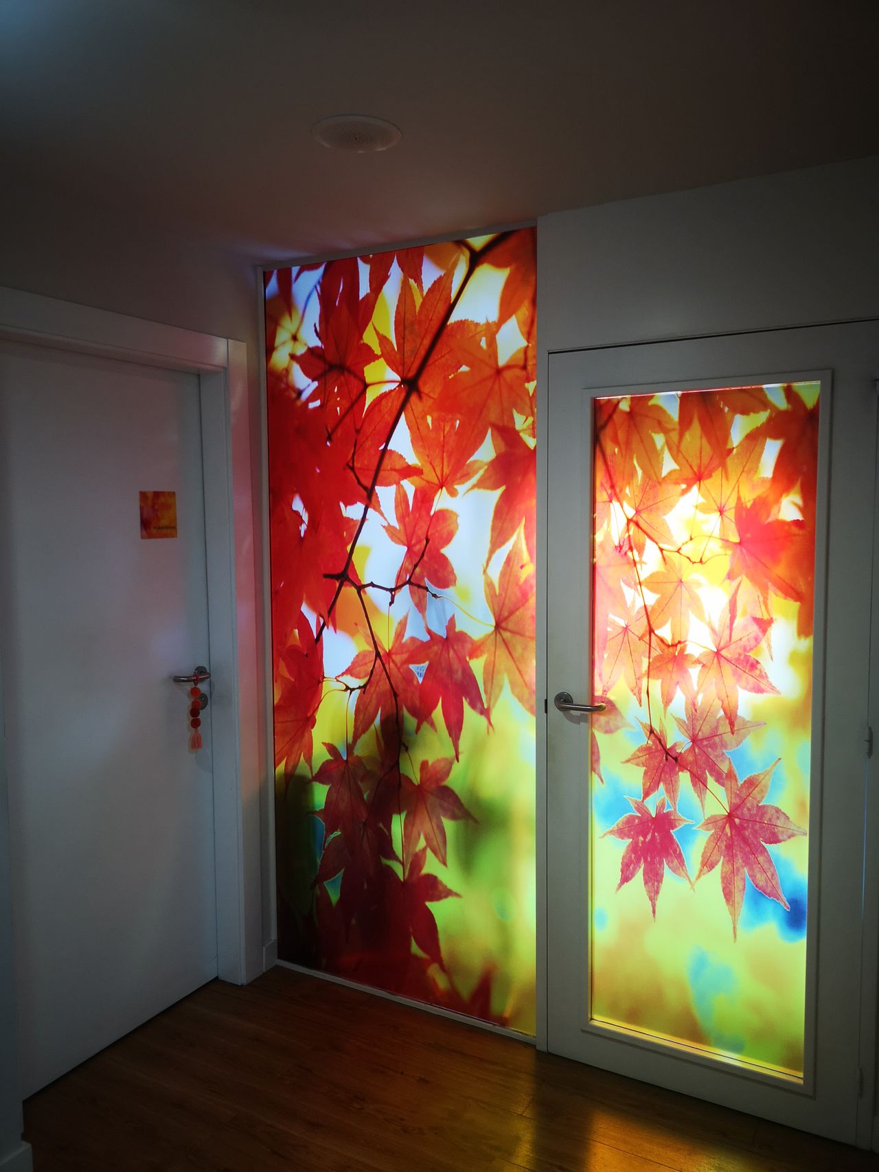 Álvaro Ruiz De Ocenda-0