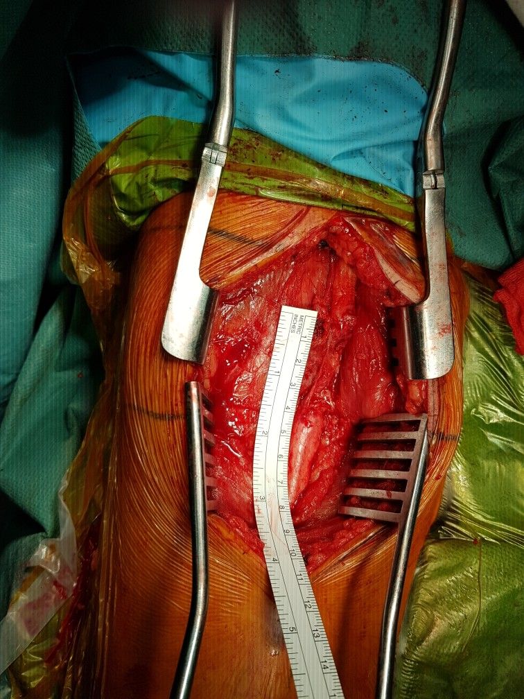 Jarosław Andrychowski-54