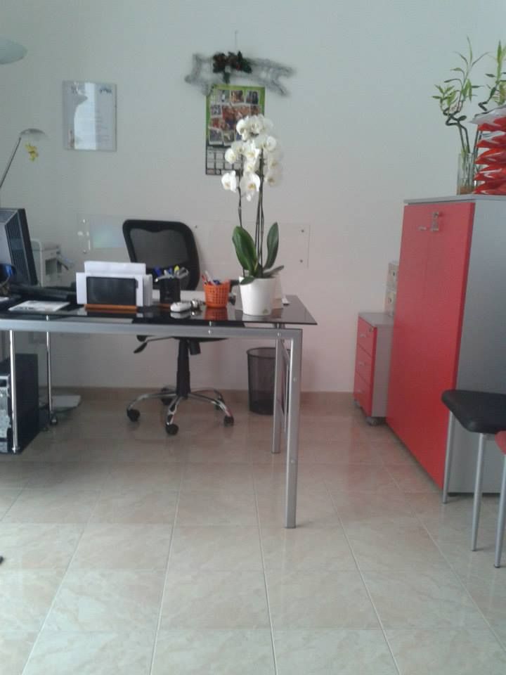 Gabriele Di Gesaro-1