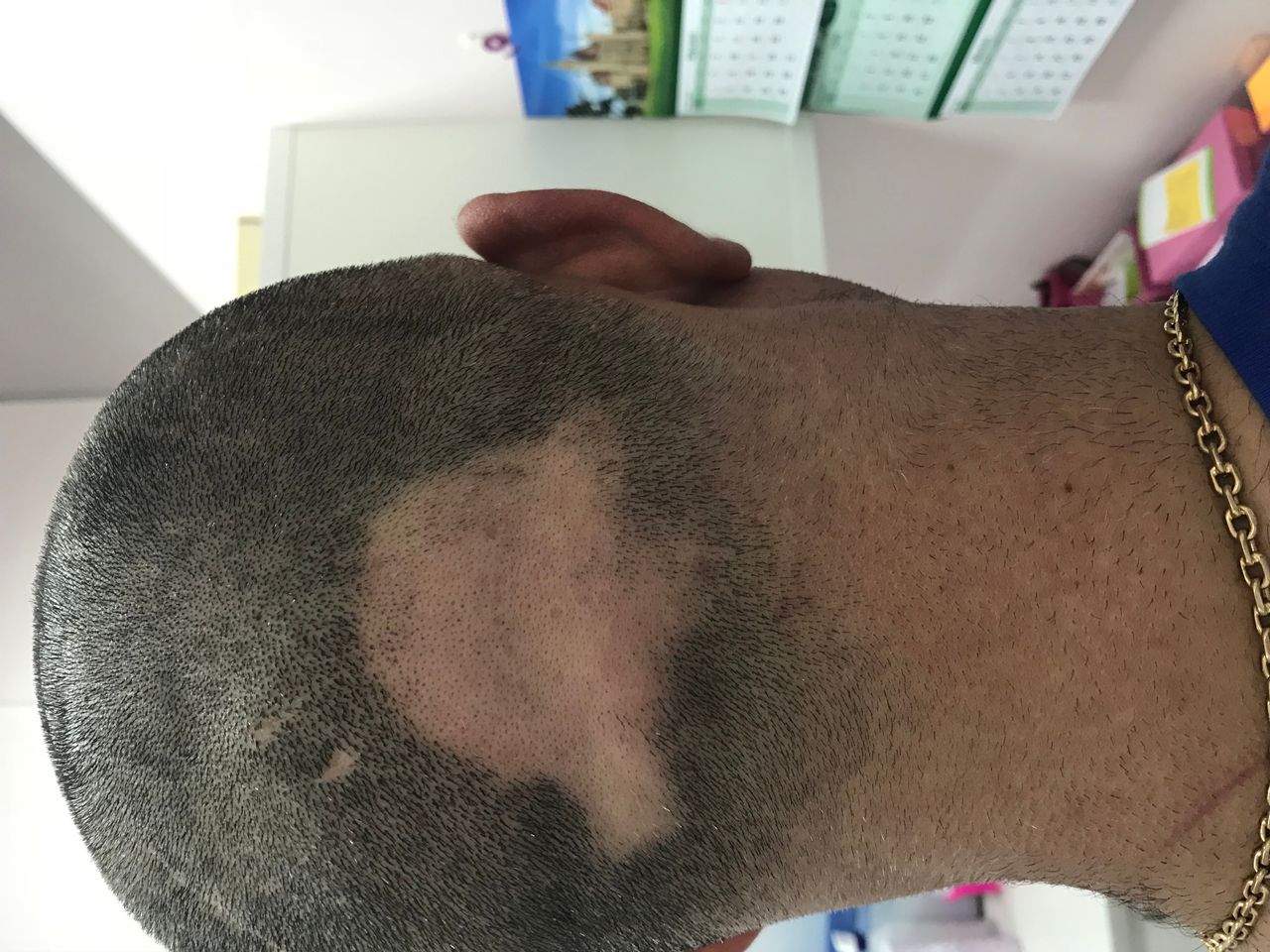 Elżbieta Wiszniewska-Gauer-11