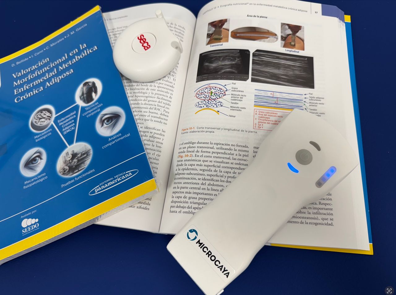 Cristobal Morales-49